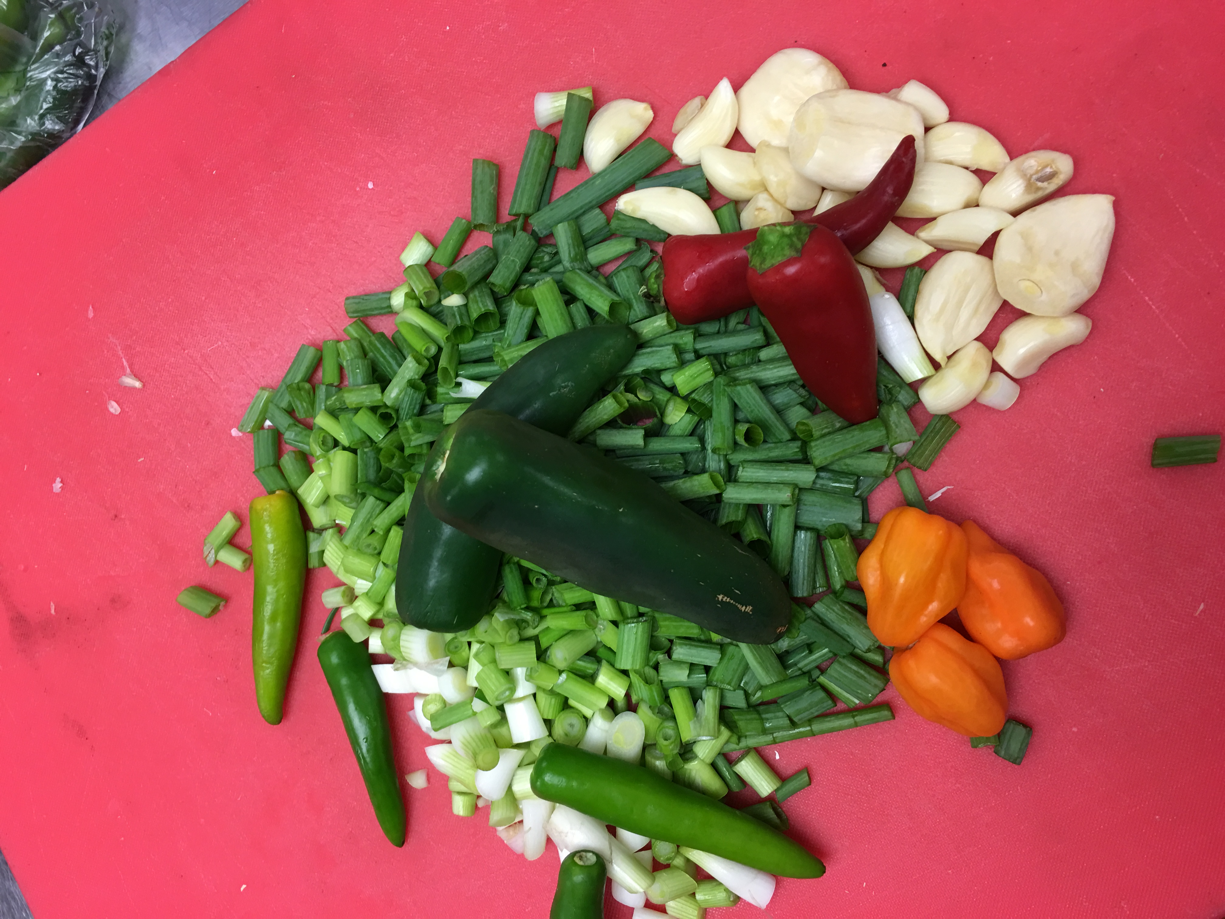 CHEF IN THE HOUSE CATERING