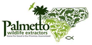 Palmetto Wildlife Extractors
