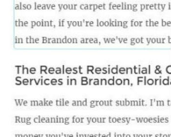 Brandon’s Carpet Cleaning Machine