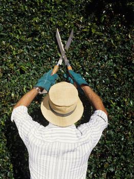 Lumber Jack & Jill Tree Service LLC