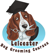 Leicester Dog Grooming