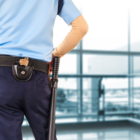 Corporate Security Academy