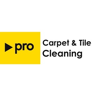  Pro Carpet & Tile Cleaning