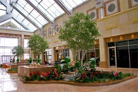 Indoor landscaping Services