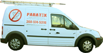 Paratex American Pest Management