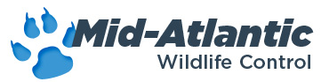 Mid-Atlantic Wildlife Control