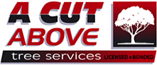 A Cut Above Tree Services