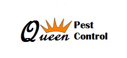 Queen Pest Control