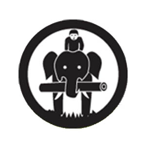 Involvement Volunteers International