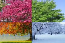 Hollingworth Enterprises