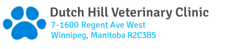 Dutch Hill Veterinary Clinic