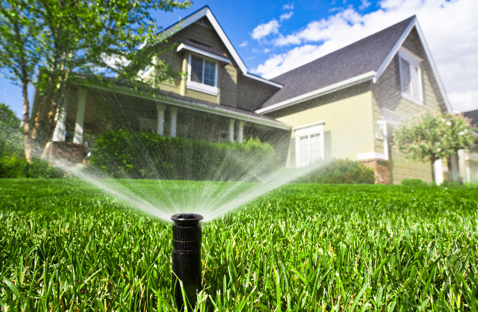 Exclusive Lawn Sprinklers & Irrigation Services
