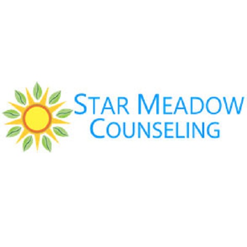 Star Meadow Counseling