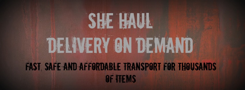 SHEHAUL- Delivery On Demand, LLC