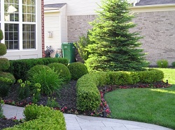 South Bend Lawn and Tree Service