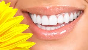 Dr. Robert K. Barbour, DMD