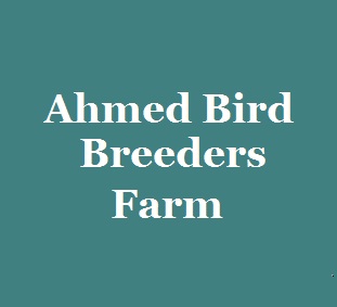 Ahmed Bird Breeders Farm