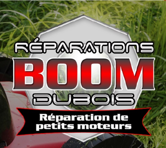 Réparations de petits moteurs Boom Dubois