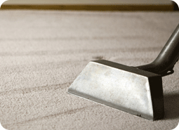 AllClean Carpet Cleaning