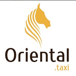 Oriental Taxi Bern