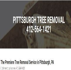 Pittsburgh Tree Removal