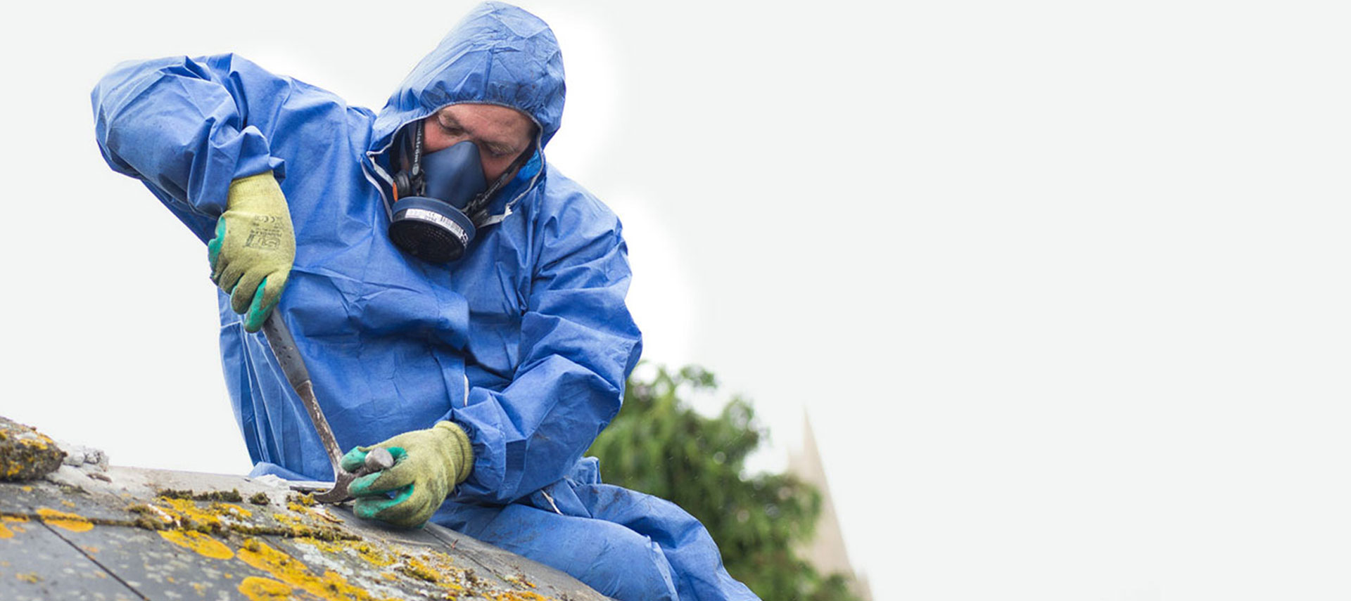 All Care Asbestos Removal
