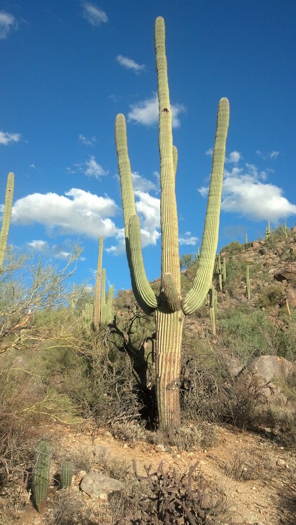 Chad M Winn Financial Advisor