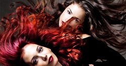 Beauty Care Supplies Ltd