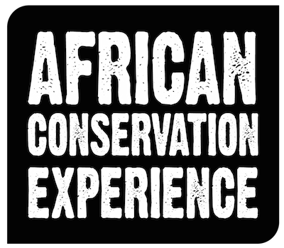 African Conservation Experience