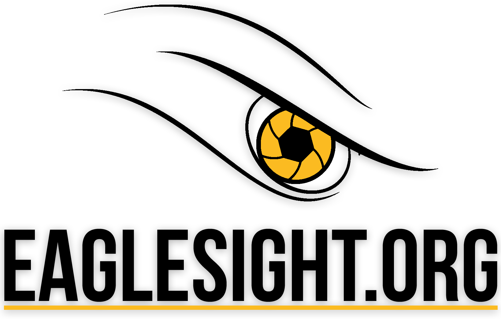 Eagle Sight Drone Services