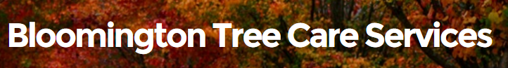 Bloomington Tree Care