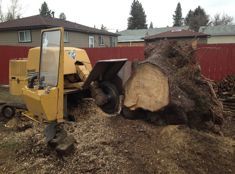 A-1 Stump Removal