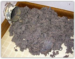 Dryer Vent Cleaning League City TX