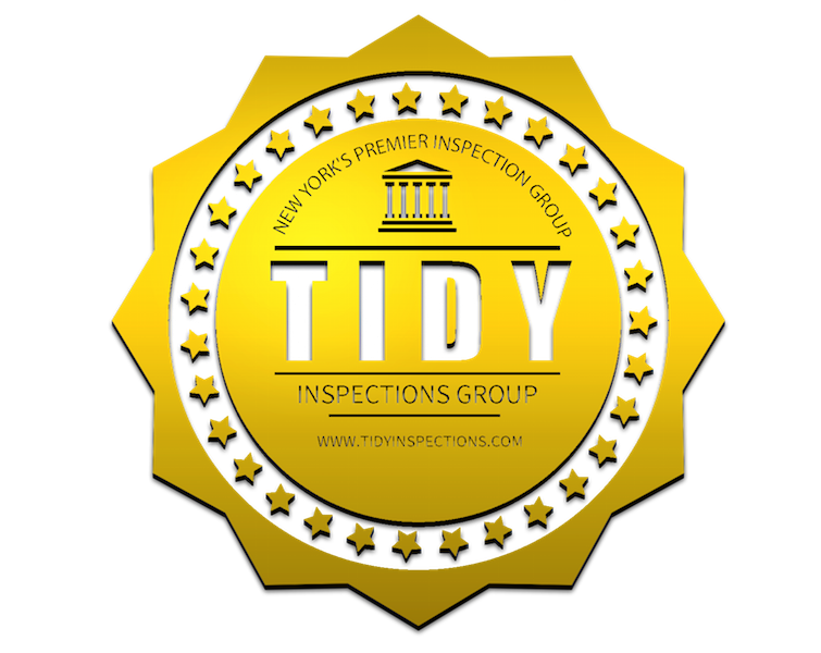 Tidy Home Inspections