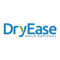 Dry Ease Mold Removal NYC
