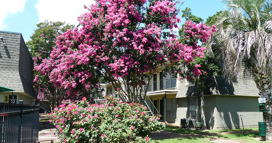 Acadian Gardens & South College Gardens