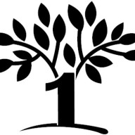 First Class Tree Care – Tree Services in Canberra