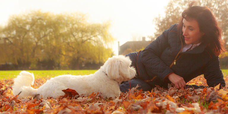 Scamps & Champs Hampstead