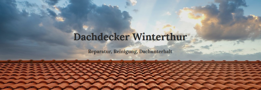 Dachdecker Winterthur