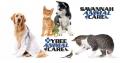 Savannah Animal Care