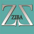 Ziba &Co