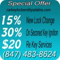 car key Locksmith Palatine