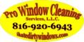 Pro Window Cleaning