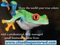 Cloud Inspector Web Design
