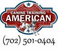 American Canine Training and Dog Boarding Las Vegas