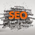 Web Seo Xpert