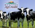 Western AG Credit