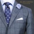 Alan David Custom