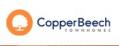 Copper Beech Morgantown