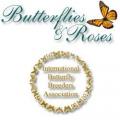 Butterflies & Roses